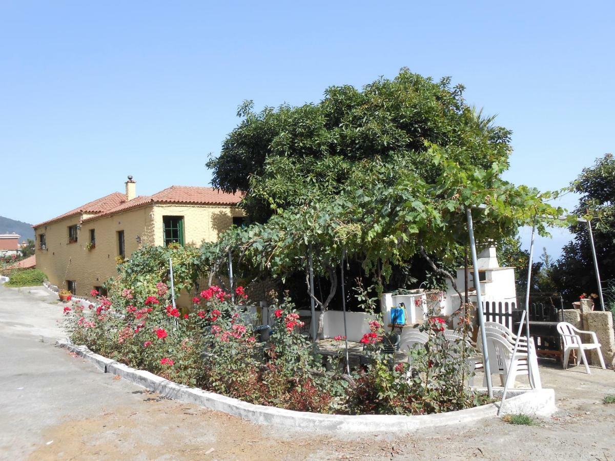 Vakantiehuis Casitas Uvas Y Vinas Los Realejos