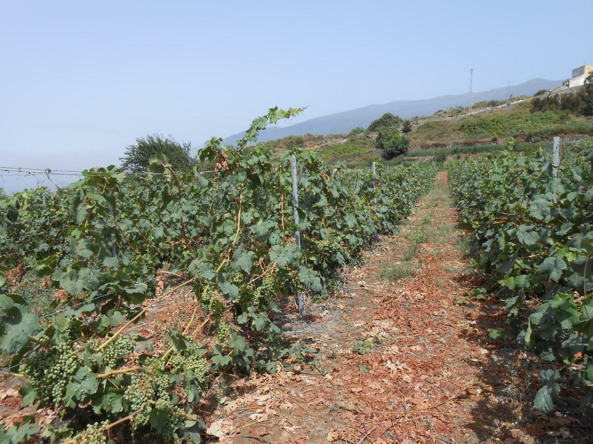 Casitas Uvas Y Vinas Holiday home Los Realejos