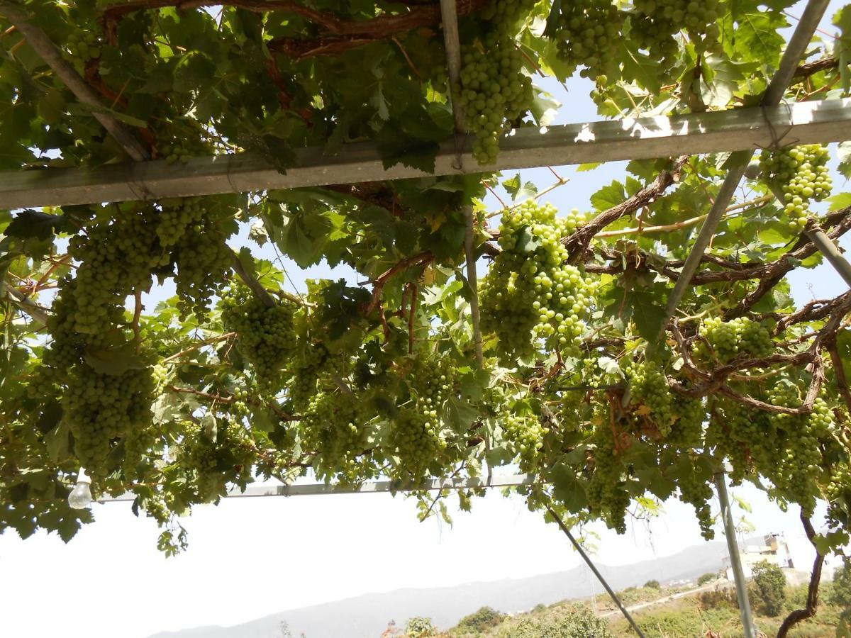Casitas Uvas Y Vinas Vakantiehuis *